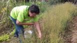 Fotograma de "Teño unha horta en San Sadurniño".