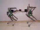 Novas pernas para robots de asistencia