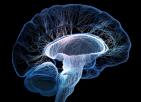 Innovadoras app que detectan ataques de epilepsia e melloran o tratamento do ict