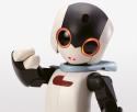 Robot Robi