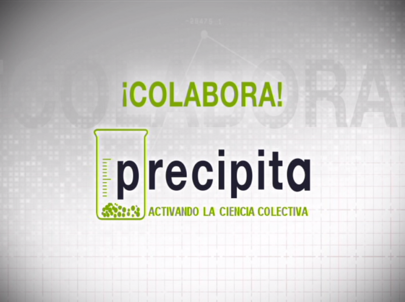 Logo Precipita